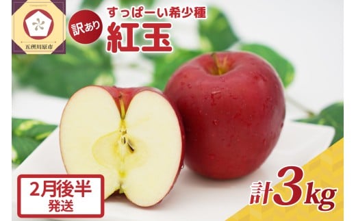 紅玉3kg 程度 紅玉リンゴ 訳あり 青森|タルトタタン に最適 不揃い りんご 【2026年2月後半発送】