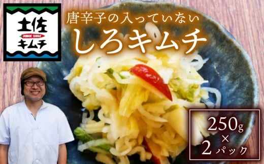 【土佐キムチ しろ】 しろ キムチ 250g ×2パック 無添加 自然派 キムチ 漬物 発酵 白菜 キムチ 辛くない 手作り てづくり 韓国 高知県 南国市  2200969 - 高知県南国市
