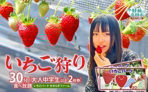 (大人中学生以上 2枚券)いちごパーク せせらぎファーム いちご狩り30分食べ放題ペアチケット