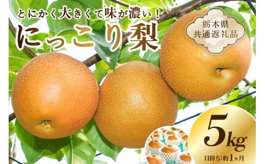 [栃木県共通返礼品] JAなすの産 梨 にっこり 5kg ns096-001 [梨 なし 果物 大きい 味が濃い 甘い みずみずしい ジューシー 季節限定]