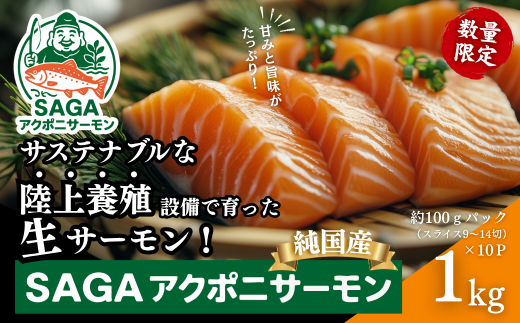 佐賀から未来へ!SAGAアクポニサーモン 1kg 100g×10P カット済 刺身 サーモン トラウトサーモン 国産 生食 陸上養殖 高品質 佐賀市産 海鮮 魚介 魚 冷凍 小分け 解凍するだけ 海鮮丼 カルパッチョ 寿司 鮭 佐賀県 佐賀市 :B400-007