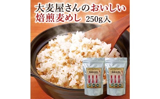 おいしい焙煎麦めし 250g×2 栃木県 足利市 F7Z-1365 2240703 - 栃木県足利市