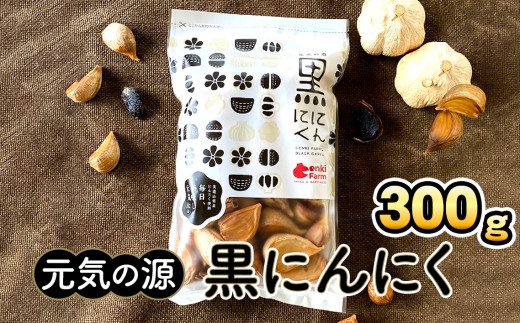 元気の源　黒にんにく　300g [No.499] ／ 黒ニンニク ニンニク 熟成 岐阜県 731069 - 岐阜県山県市
