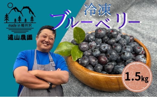 【軽井沢の農家】 遠山農園より直送！ 冷凍ブルーベリー 1.5kg （750g×2パック） 農家直送 軽井沢産 冷凍 ブルーベリー 遠山農園 軽井沢農家 国産　[№5328-0372] 2200629 - 長野県軽井沢町