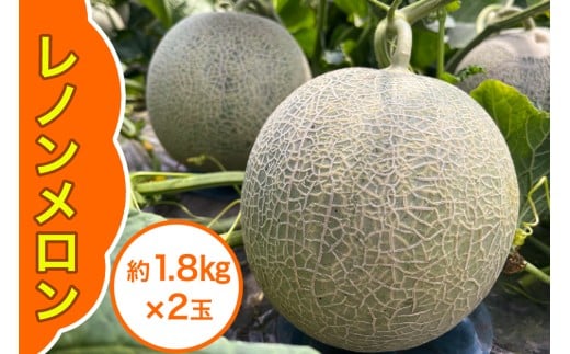 レノン メロン 約1.8kg×2玉|2025年 令和7年 青森 津軽 つがる産 レノン メロン めろん 特産 ジューシー 糖度 フルーツ 果物 ギフト 産直 赤肉メロン 夏メロン [0859]