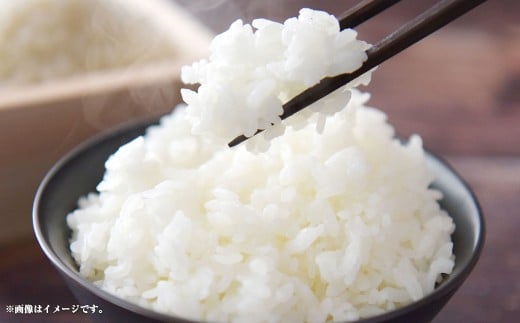【令和7年産】静岡県産コシヒカリ 精米 5kg （5kg×1袋） 【2025年8月下旬～2026年8月下旬迄順次発送予定】 コシヒカリ こしひかり 白米 米 コメ こめ ご飯 ごはん 新米 菊川市 静岡県