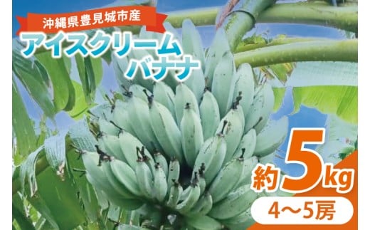 アイスクリームバナナ(野菜バナナ) 約5kg｜バナナ ばなな アイスクリームバナナ 野菜バナナ フルーツ くだもの 果物 沖縄フルーツ 沖縄 沖縄県 豊見城市(DL008)