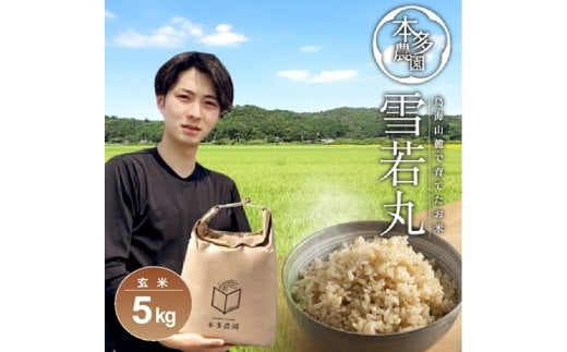 令和7年産[玄米]雪若丸 5kg 農家直送 HO