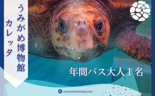 日和佐うみがめ博物館カレッタ入館年間パス　【大人１名分】