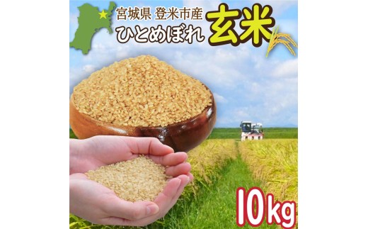 [先行予約!2025年9月末より順次発送予定]≪令和7年産・新米≫ 宮城県登米市産 ひとめぼれ 玄米 10kg お米 おこめ 米 白米 コメ ご飯 ごはん おにぎり お弁当 ブランド米[有限会社伊豆沼農産]tm406