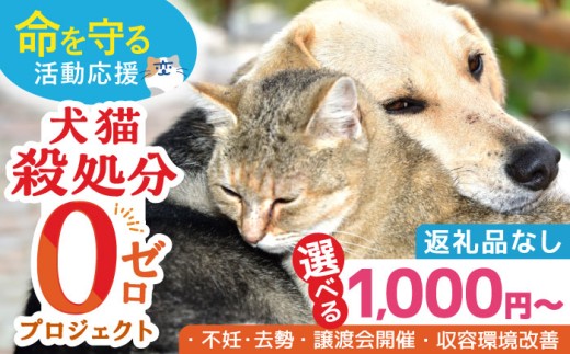 長崎  動物 犬 猫 いぬ ねこ イヌ ネコ 保護犬 保護猫 支援 応援 寄付のみ
