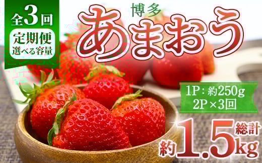 ＜全3回定期便・先行予約受付中！2026年2月上旬～2026年4月下旬に順次発送予定＞ 博多あまおう (総計約1.5kg) いちご 苺 フルーツ 果物 くだもの 福岡限定 家庭用 冷蔵 定期便 ＜離島配送不可＞【ksg1742】【農産物直売所ほたるの里】