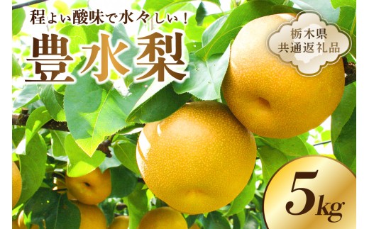 [栃木県共通返礼品] JAなすの産 梨 豊水 5kg ns096-002 [梨 なし 果物 和梨 フルーツ 果汁たっぷり ジューシー 季節限定 秋の味覚]