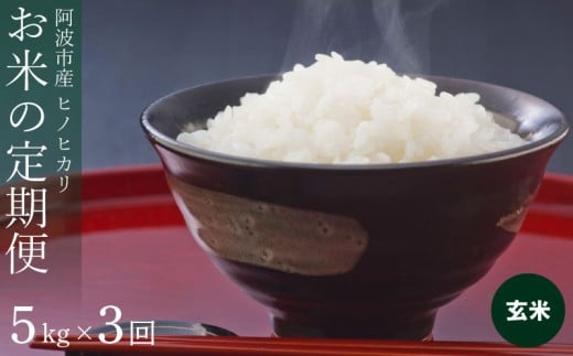定期便 3回 米 ヒノヒカリ 5kg 令和7年産 米 こめ ご飯 ごはん おにぎり 玄米 精米 新米 卵かけご飯 食品 備蓄 備蓄米 保存 防災 ギフト 贈答 プレゼント お取り寄せ グルメ 送料無料 徳島県 阿波市 栗栖農園