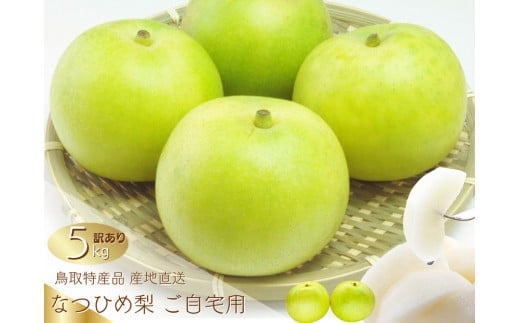 数量限定 鳥取県産 梨 訳あり ご自宅用 なつひめ 5kg