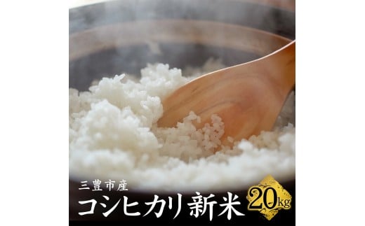 【ふるさと納税】コシヒカリ 新米 20kg 【 まとめ買い 白米 精米 白ご飯 おにぎり ごはん 食品 料理 贈り物 国産 香川県 三豊市 お取り寄せグルメ お取り寄せ 送料無料 返礼品 マミィギフト香川 】