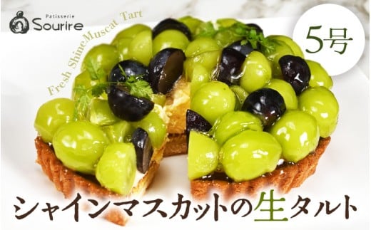 【数量限定】サクサク食感 シャインマスカットのフレッシュタルトケーキ 5号：直径15cm (4〜5人前) 850g 【シャインマスカット マスカット ますかっと ケーキ マスカットケーキ ホール たると スイーツ デザート 果物 フルーツケーキ 洋菓子 贈答 ギフト】 [A-5207]