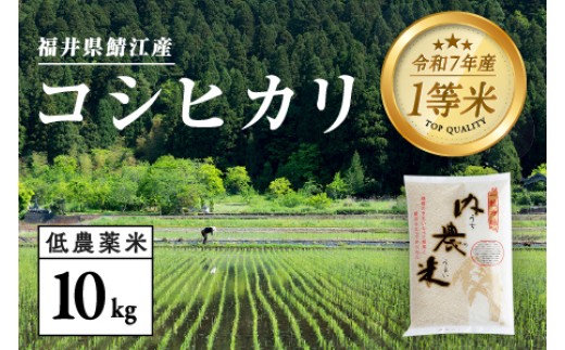 【令和7年産 新米！】【2025年9月下旬以降 順次発送予定】福井県産 内農米 コシヒカリ 10kg [C-00509]　/ こしひかり 有機栽培  白米 精米 ご飯 コメ ごはん ライス 産地直送 鯖江市 381627 - 福井県鯖江市