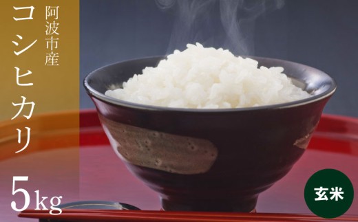 コシヒカリ 5kg 令和7年産 米 こめ ご飯 ごはん おにぎり 玄米 精米 新米 卵かけご飯 食品 備蓄 備蓄米 保存 防災 ギフト 贈答 プレゼント お取り寄せ グルメ 送料無料 徳島県 阿波市 栗栖農園
