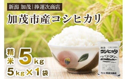 【令和7年産新米】加茂市産コシヒカリ 精米5kg 《順次出荷》 こしひかり 新潟米 お米 白米 ライス ご飯 加茂市 捧運次商店 2191283 - 新潟県加茂市