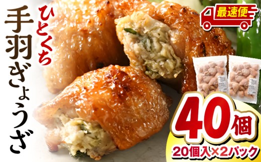 【最速便】ひとくち手羽ぎょうざ 計40個 20個入×2パック_M025-005-2W 2104412 - 宮崎県宮崎市