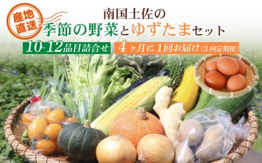【4ヶ月に1回お届け 全3回コース】南国土佐の季節野菜と卵（ゆずたま）の詰め合わせセット | 定期便 セット 詰め合わせ 旬 やさい たまご 卵 柚子 ゆず ゆずたま 農家直送 人気 高知県 南国市 2202546 - 高知県南国市