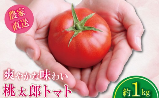 【2026年4月発送】 トマト 1kg 桃太郎 先行予約  甘い 野菜 やさい 国産 産地直送 数量限定 旬 桃太郎トマト 生野菜 新鮮 ソース 調味料 ケチャップ サラダ 美容 新鮮 健康 お取り寄せ グルメ おすすめ 人気 徳島県 小松島市 2222616 - 徳島県小松島市