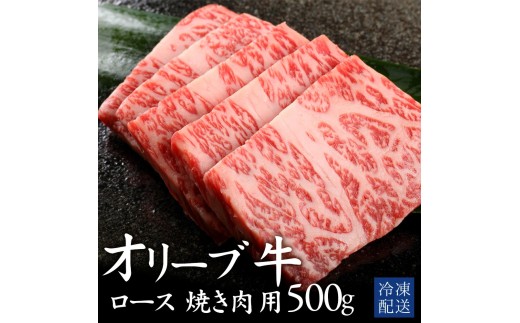 [ふるさと納税] 黒毛和牛 オリーブ牛ロース 焼肉用 500g [ 赤身 オリーブ牛 和牛 讃岐牛 焼肉 焼き肉 ロース ランキング ブランド牛 牛肉 お肉 国産 ロース肉 送料無料 牛肉 希少部位 希少 切り落とし 三豊市 31000 30, 台 返礼品 人気 セット 行天食品 ]