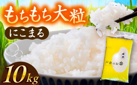 【先行予約/10月より順発送】 【令和7年度産 新米 】 にこまる 白米 10kg お米 ご飯 米 こめ コメ ｺﾒ おコメ 精米 白米  愛西市 / 戸倉トラクター 【配達不可：離島】 [AECS056] 1456575 - 愛知県愛西市