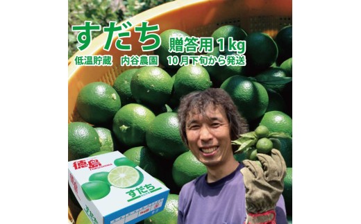 内谷農園 低温貯蔵すだち 贈答用 1kg 2200653 - 徳島県勝浦町