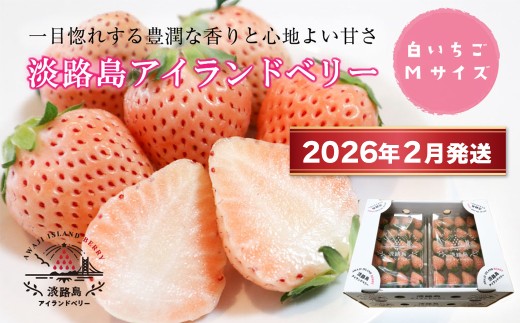 淡路島アイランドベリー　白苺淡雪　Mサイズ【2026年2月発送予約受付・お届け日指定不可】