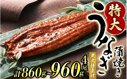 うなぎ蒲焼 4尾 計約860g～960g （タレ・山椒付き） 1尾約215g～240gのビッグサイズ 【通常発送】【nks702B-y】 1035302 - 和歌山県紀美野町