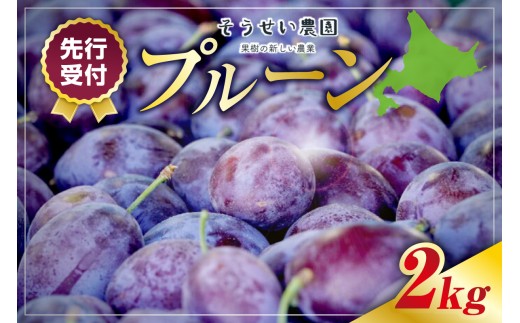 【先行予約:2025年8月中旬頃より発送】プルーン 2kg 2189648 - 北海道余市町