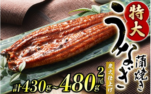 【通常配送】1尾約215g～240gのビッグサイズ うなぎ蒲焼 2尾 計約430g～480g （タレ・山椒付き） 中国産 鰻 うなぎ うなぎの蒲焼 炭火焼き 炭火 特大サイズ【nks700B-y】 1367905 - 和歌山県紀美野町