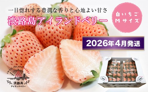淡路島アイランドベリー　白苺淡雪　Mサイズ【2026年4月発送予約受付・お届け日指定不可】