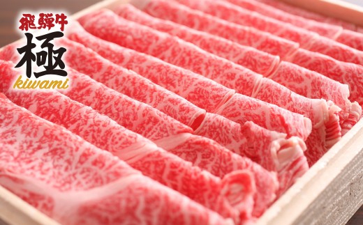 ≪限定受付中!! 特別内容量≫ 飛騨牛 肩ロースしゃぶしゃぶ用 500g+100g (計600g) 飛騨牛 カタロース ロース しゃぶしゃぶ プロ厳選 牛肉 和牛 肉 国産 鍋 通常 贈り物 ギフト12月発送 30000円 3万円
