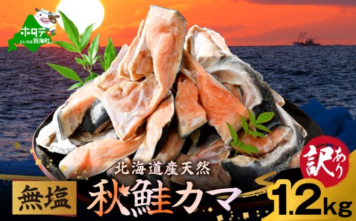 北海道産 秋鮭 カマ 1.2kg 無塩 （ 鮭かま 鮭 切り身 鮭 切り身 訳あり 鮭フレーク 鮭の切り身 鮭フレーク 無添加 鮭 無塩  鮭カマ　別海町　鮭カマ鮭カマ 鮭カマ 小  北海道 別海町 鮭かま 鮭かま 鮭かま 鮭かま ）