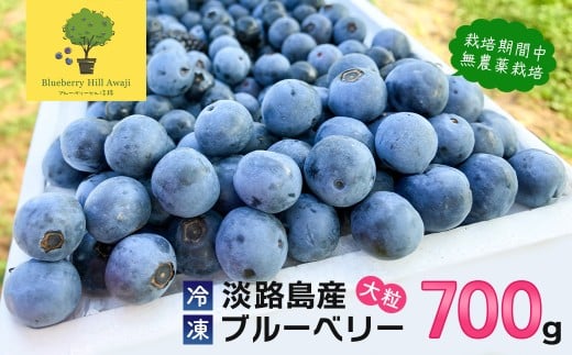 【淡路島産】大粒ブルーベリー 700g 冷凍生果《栽培期間中、無農薬栽培》