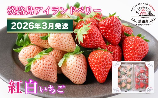 淡路島アイランドベリー　紅白いちご　淡雪/とちおとめ【2026年3月発送予約受付・お届け日指定不可】