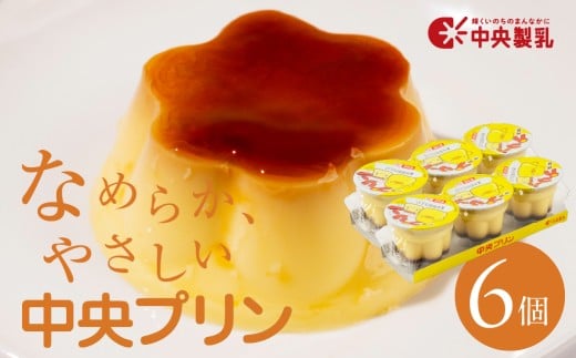 中央製乳 中央プリン3p 6個セット こだわり なめらか おやつ デザート 定番 甘い たまご カラメルソース 厳選素材 愛知県 豊橋市