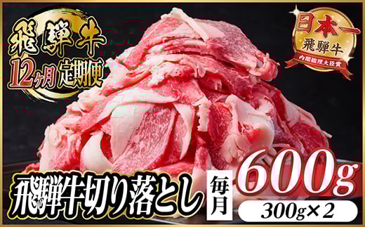 ＜毎月定期便＞飛騨牛　切り落とし　約600g＜冷蔵便＞全12回【4055016】 1437695 - 岐阜県羽島市