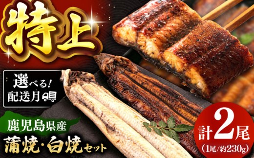 鹿児島産 うなぎ 2尾 蒲焼・白焼 食べ比べ セット 特製秘伝のタレ付き! ▼うなぎ蒲焼 ウナギ 鰻 蒲焼 白焼 有頭 九州産 うな重 冷凍 かばやき 桂川町/山水商事 [ADAH007]