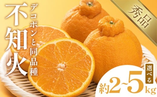 不知火 デコポン 同品種 選べる 内容量 約2kg～約5kg 日本フルーツ株式会社 熊本県 荒尾市 《1月下旬-2月末頃出荷予定》 デコポン 果物 秀品 フルーツ スイーツ デザート ギフト ご贈答