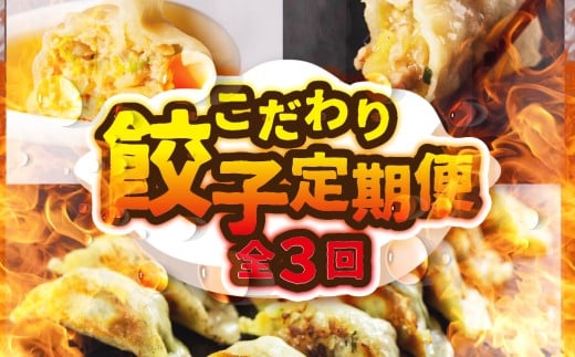 こだわり餃子定期便 全3回 定期便 餃子 おつまみ 晩酌 毎日の食事に 白米によくあう お弁当 業務用 期間限定 数量限定 愛知県 豊橋市 送料無料 3万円 焼き方レシピあり