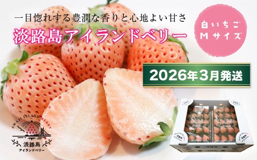 淡路島アイランドベリー　白苺淡雪　Mサイズ【2026年3月発送予約受付・お届け日指定不可】