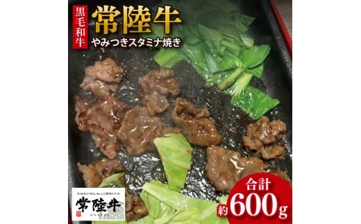 【数量限定】【最短7日発送】黒毛和牛 常陸牛 やみつきスタミナ焼 約300g×2パック｜肉 牛肉 和牛 国産 茨城県産 すぐ 届く(HI-2) 2333306 - 茨城県行方市