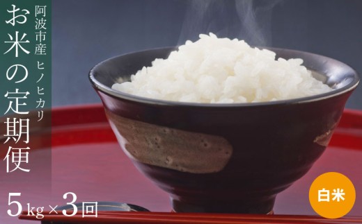 定期便 3回 米 ヒノヒカリ 5kg 令和7年産 米 こめ ご飯 ごはん おにぎり 白米 精米 新米 卵かけご飯 食品 備蓄 備蓄米 保存 防災 ギフト 贈答 プレゼント お取り寄せ グルメ 送料無料 徳島県 阿波市 栗栖農園