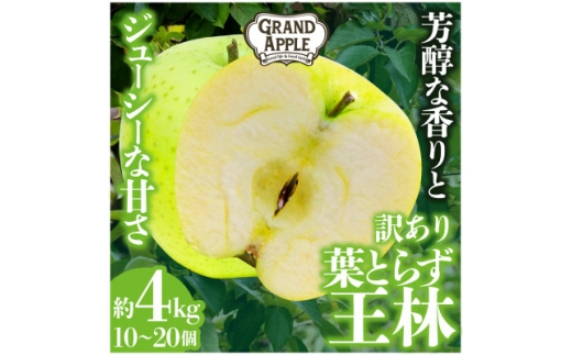 「王林」訳あり約4kg【1442055】 1278628 - 青森県藤崎町