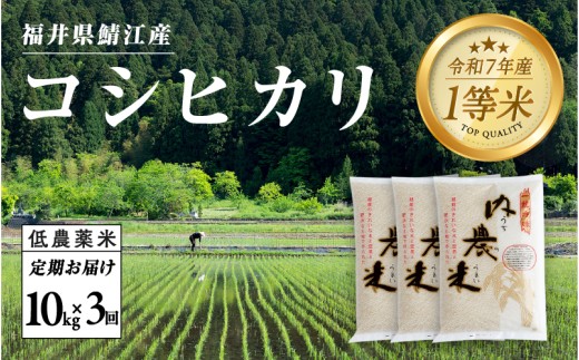 【令和7年産 新米！】【2025年10月上旬以降 順次発送予定】【3ヶ月連続お届け】令和7年産 内農米コシヒカリ定期便 10kg × 3回 計30kg [H-00505]　/ こしひかり 有機栽培 白米 新米 白米 精米 ご飯 コメ ごはん ライス 産地直送 鯖江市