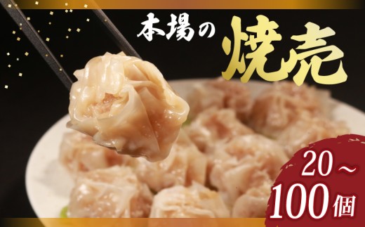 TVで多数紹介! 肉汁たっぷり 焼売 65個 小分け 冷凍 お弁当 おかず しゅうまい シュウマイ 晩ごはん 夕ご飯 おつまみ リピーター 常備 中華 中華料理 惣菜 手作り 豚まん専門店龍福 二見 大阪府 松原市